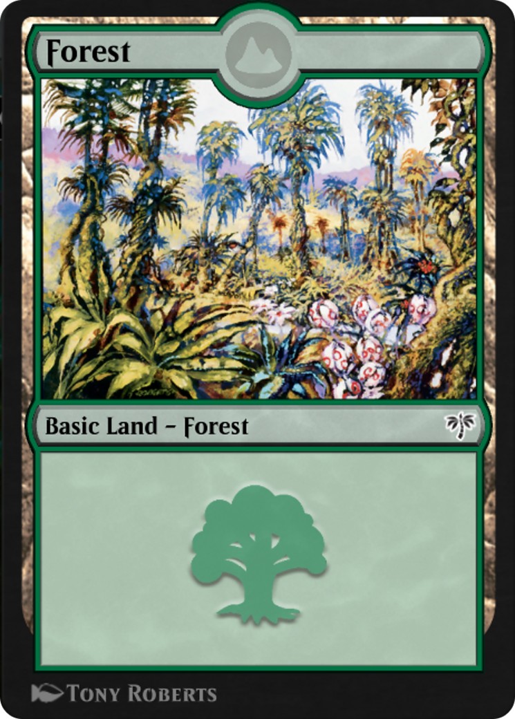 Forest - Image 1