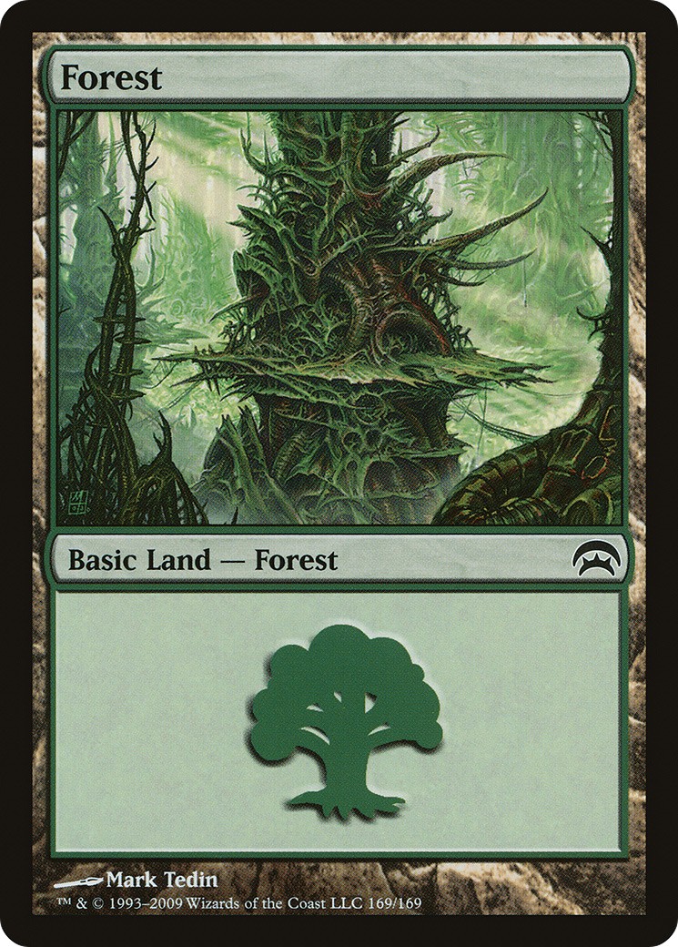 Forest - Image 1
