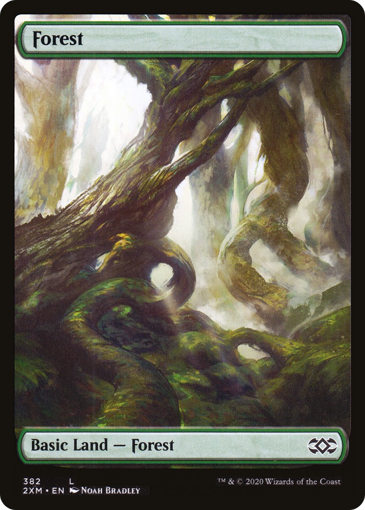 Forest - Image 1