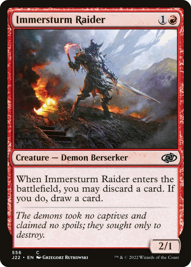 Immersturm Raider - Image 1