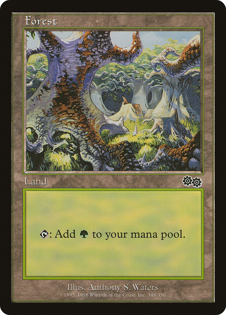 Forest - Image 1