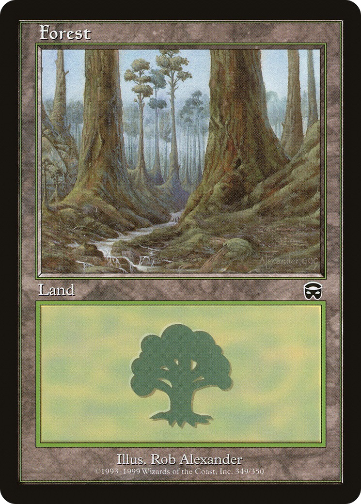 Forest - Image 1