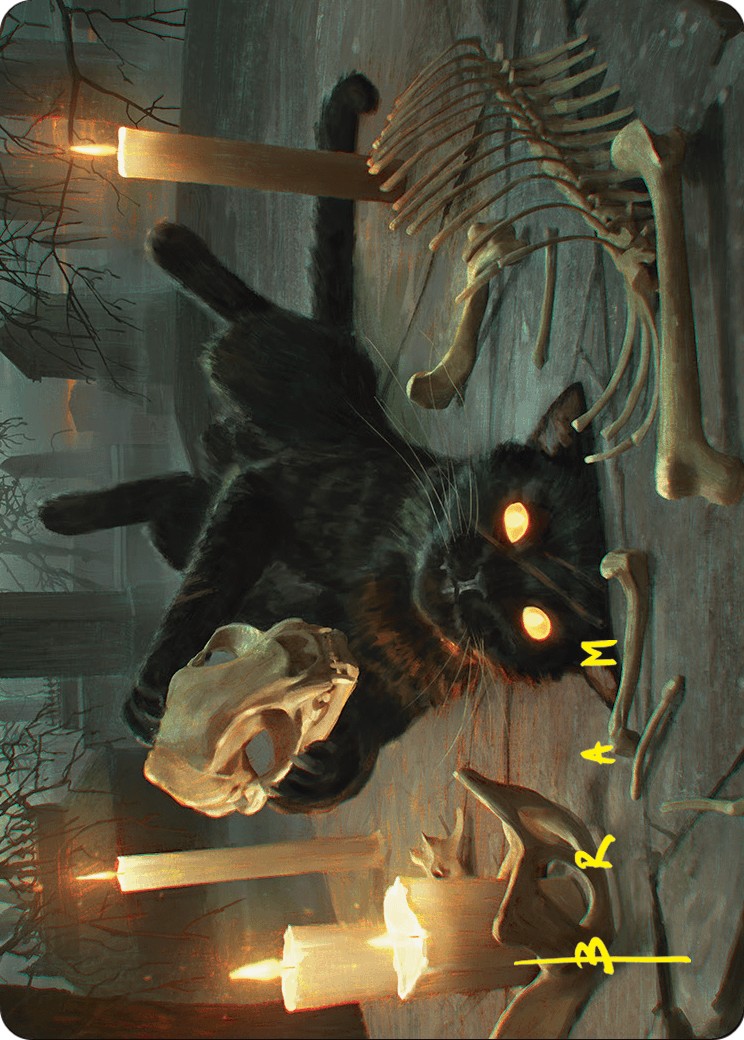 Nine-Lives Familiar // Nine-Lives Familiar - Image 1