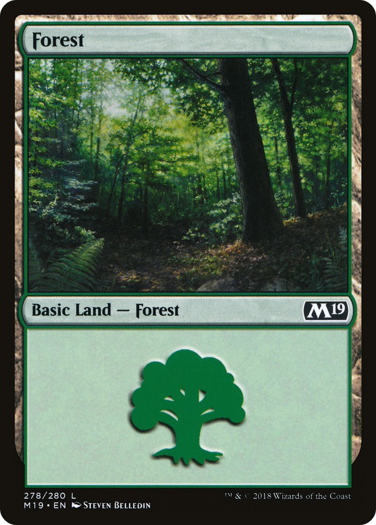 Forest - Image 1