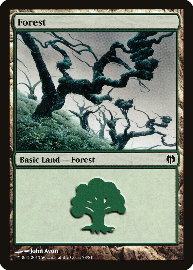 Forest - Image 1