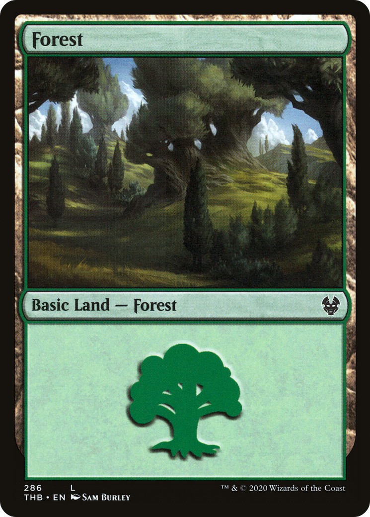 Forest - Image 1
