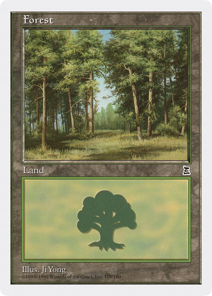Forest - Image 1