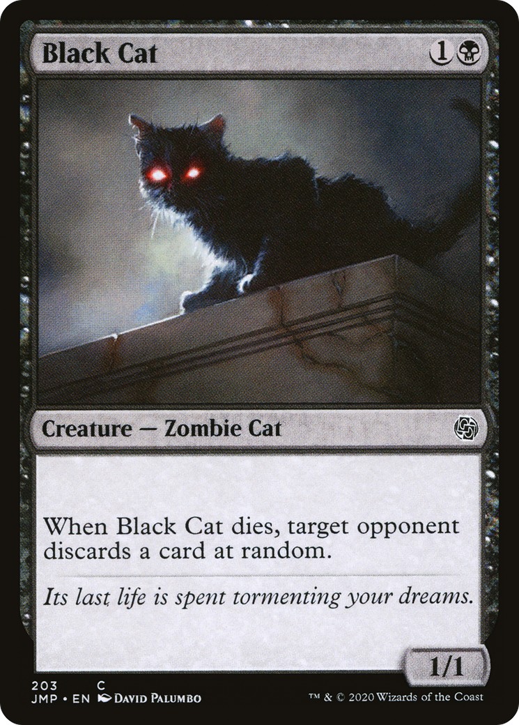 Black Cat - Image 1