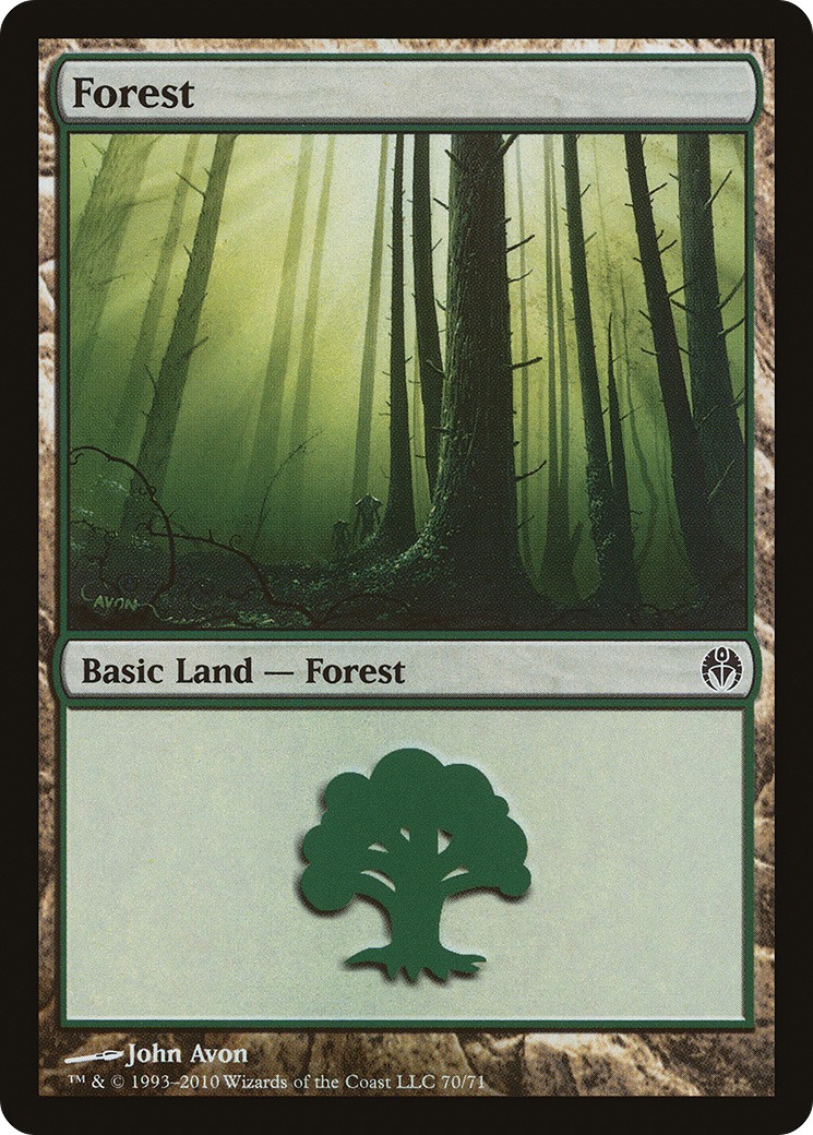 Forest - Image 1