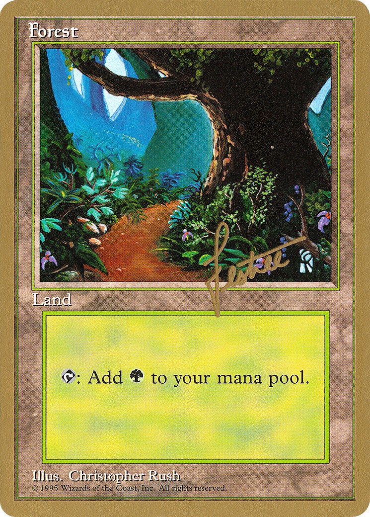 Forest - Image 1