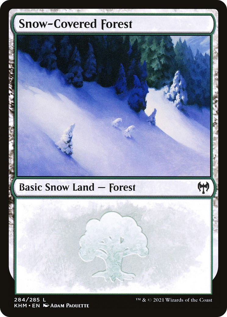 Snow-Covered Forest - Image 1
