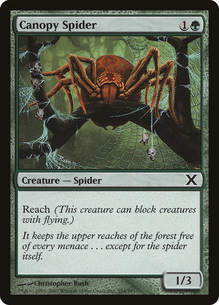 Canopy Spider - Image 1