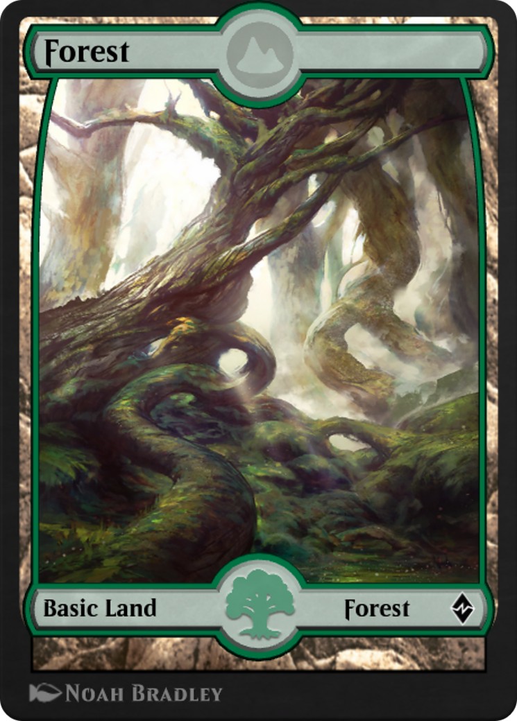 2019 Magic: The Gathering MTG Arena Promos Forest #205 trading card