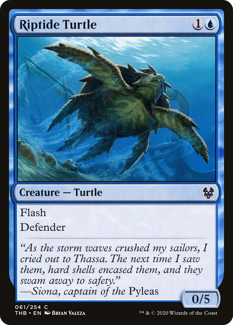 Riptide Turtle - Image 1