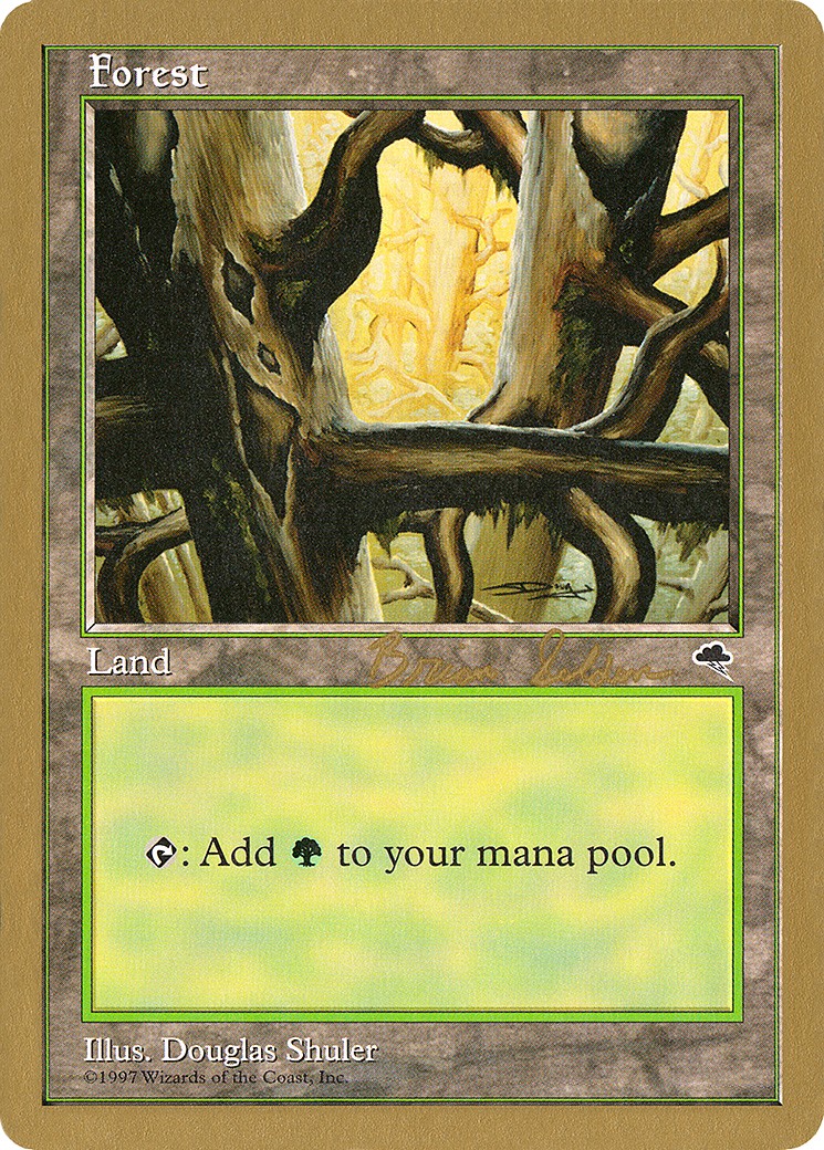 Forest - Image 1