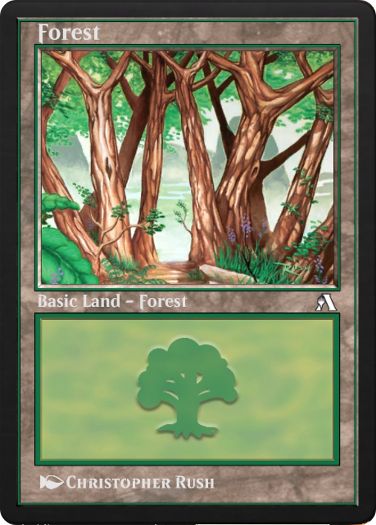Forest - Image 1