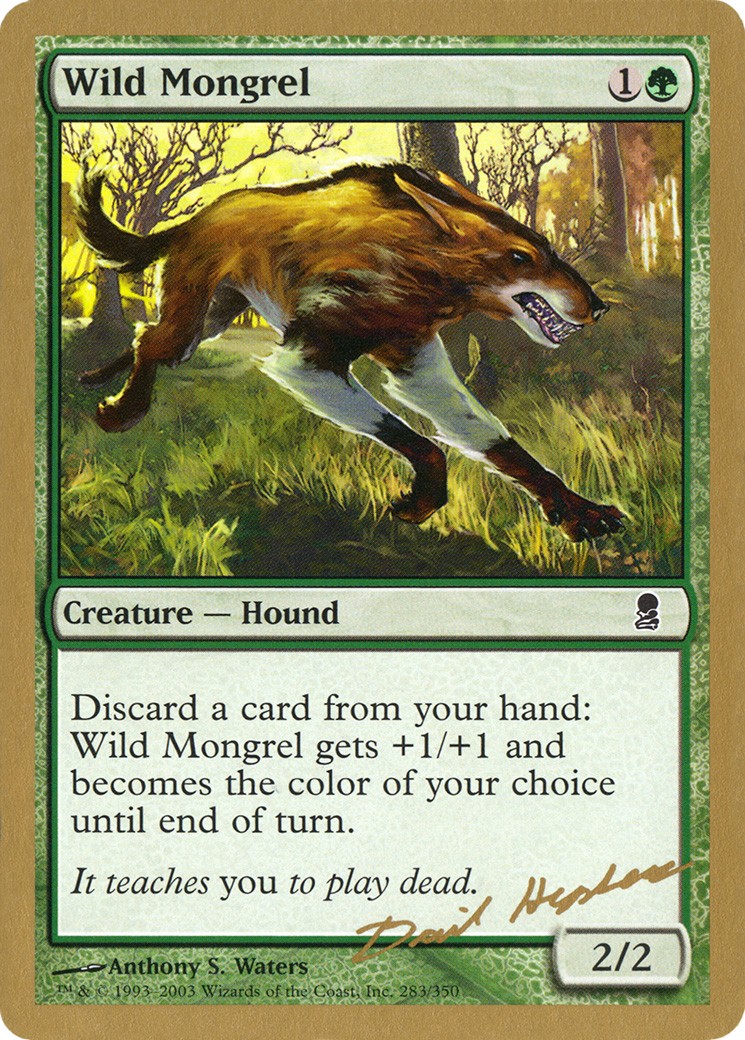 2003 Magic: The Gathering World Championship Decks 2003 Magic: The Gathering World Championship Decks #dh283 trading card