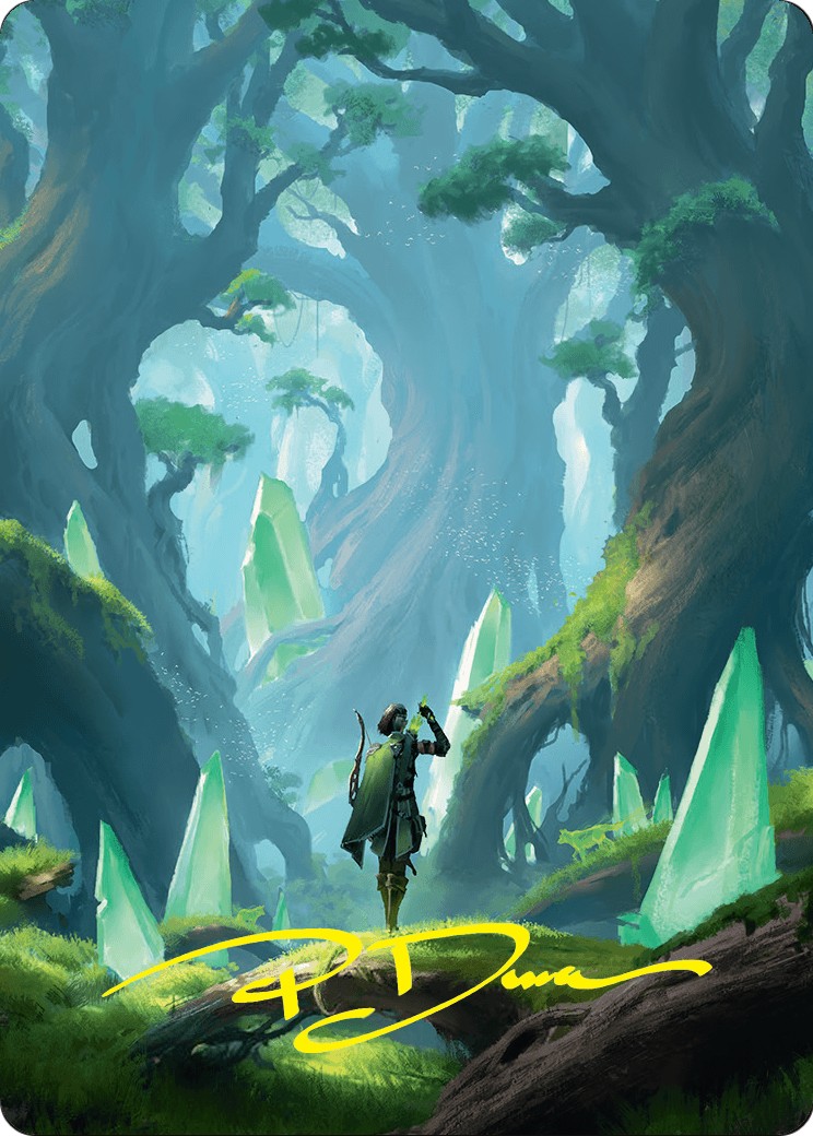 Forest // Forest - Image 1