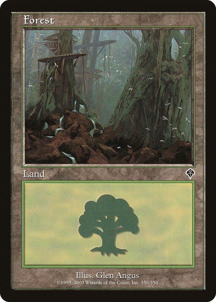 Forest - Image 1