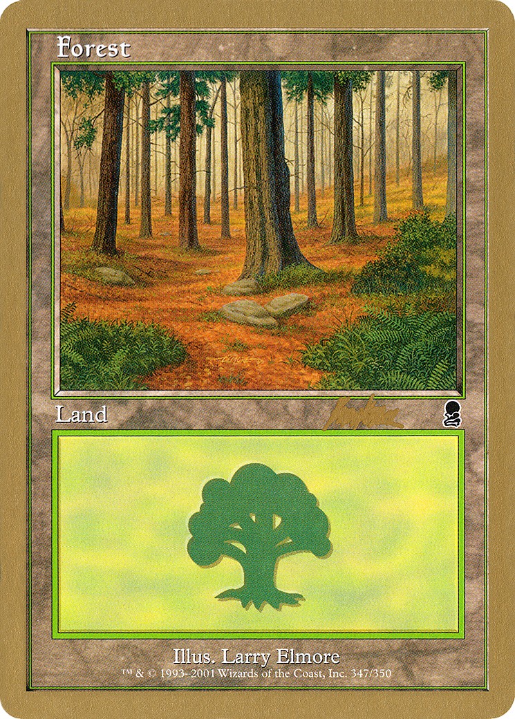 Forest - Image 1