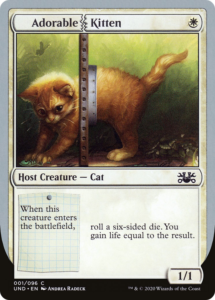 Adorable Kitten - Image 1