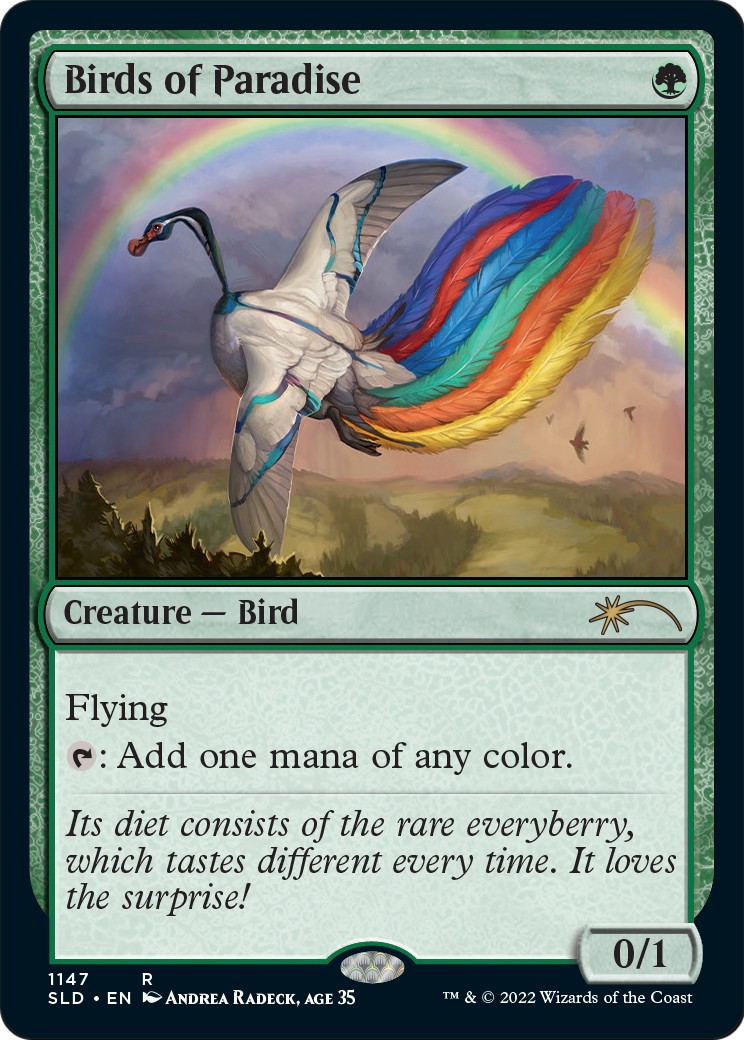 Birds of Paradise - Image 1