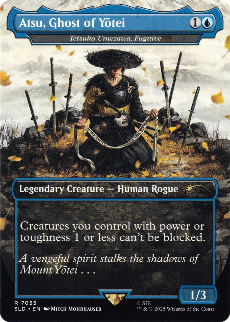 2025 Magic: The Gathering Secret Lair Drop 2025 Magic: The Gathering Secret Lair Drop #7055 trading card