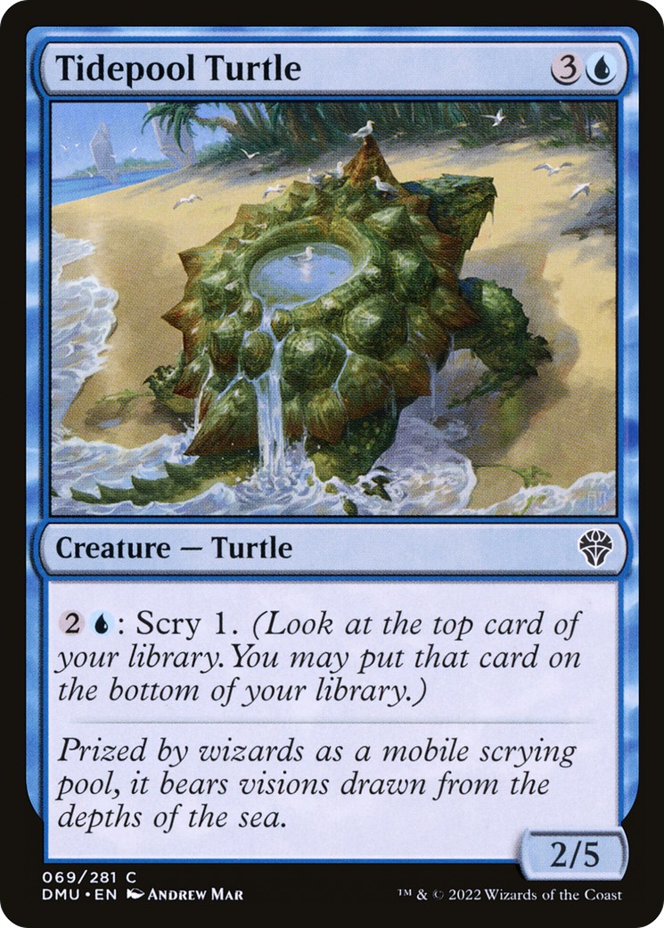 Tidepool Turtle - Image 1