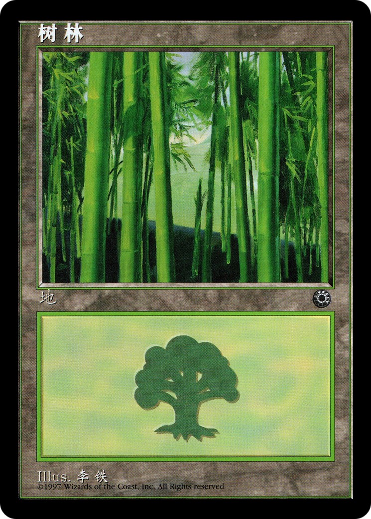 Forest - Image 1