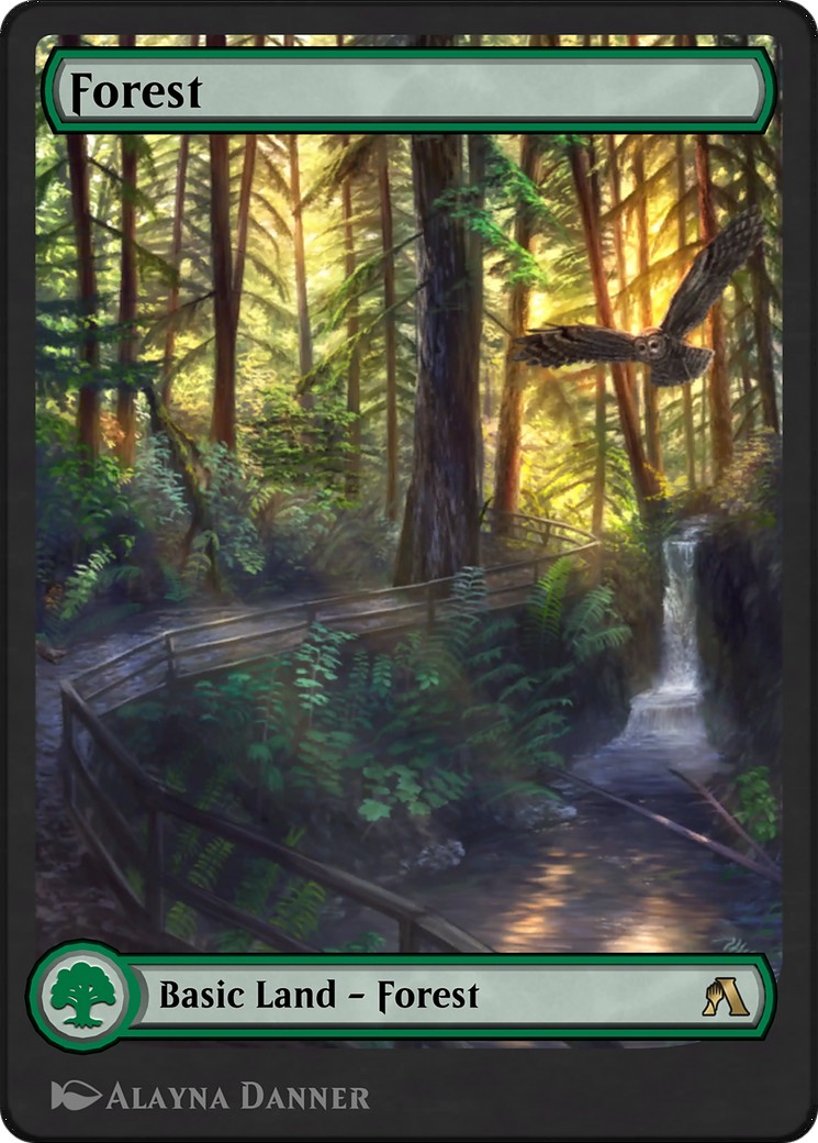 Forest - Image 1