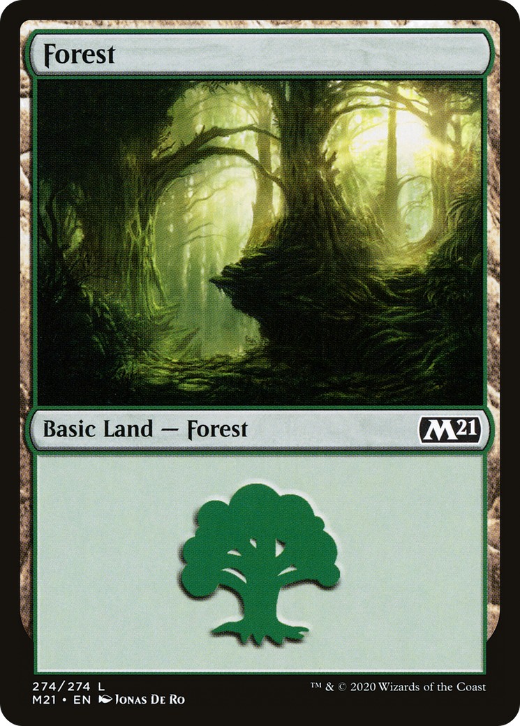 Forest - Image 1