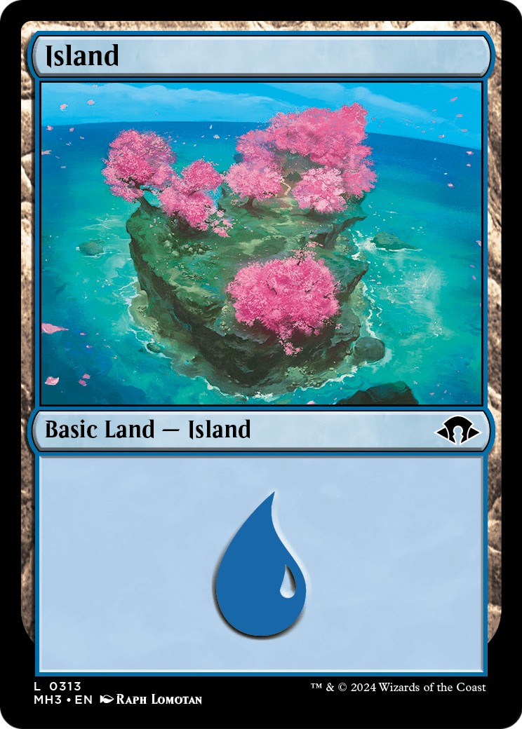Island - Image 1