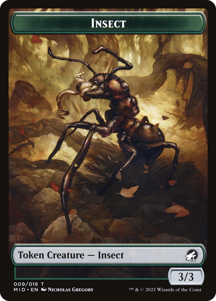 Insect - Image 1