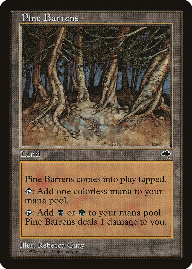 Pine Barrens - Image 1