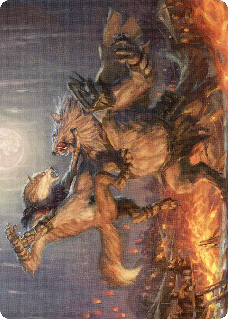 Duel for Dominance // Duel for Dominance - Image 1