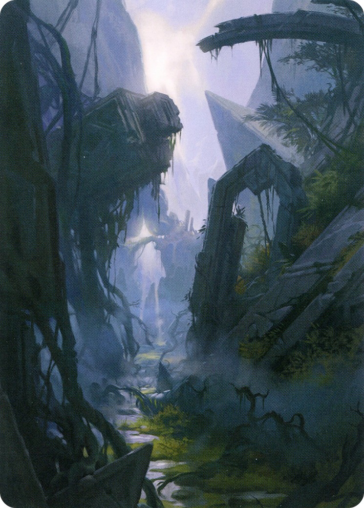 Swamp // Swamp - Image 1
