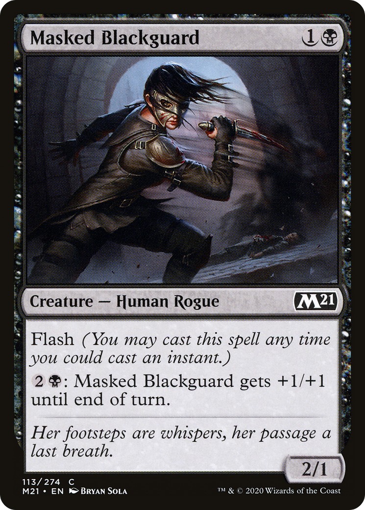 Masked Blackguard - Image 1