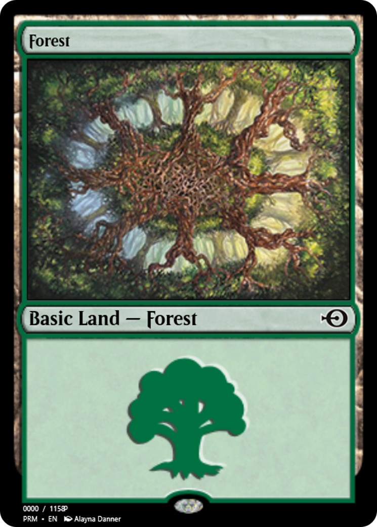 Forest - Image 1