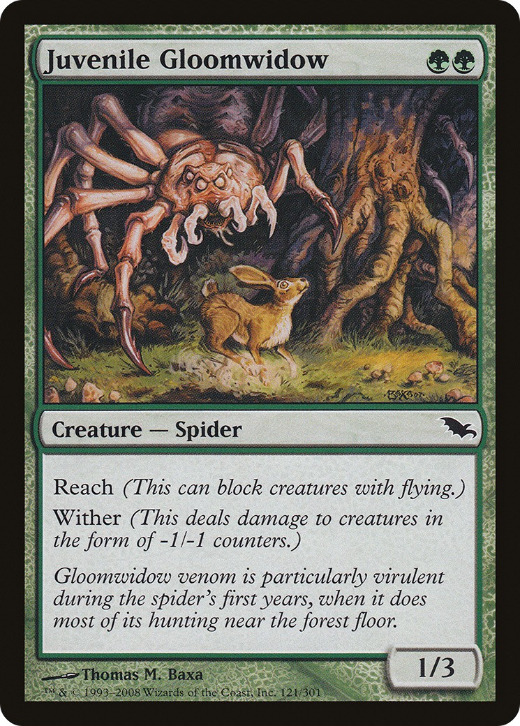Juvenile Gloomwidow - Image 1