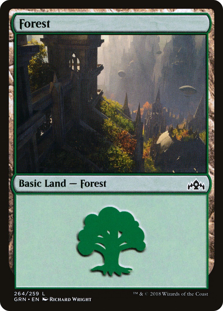 Forest - Image 1
