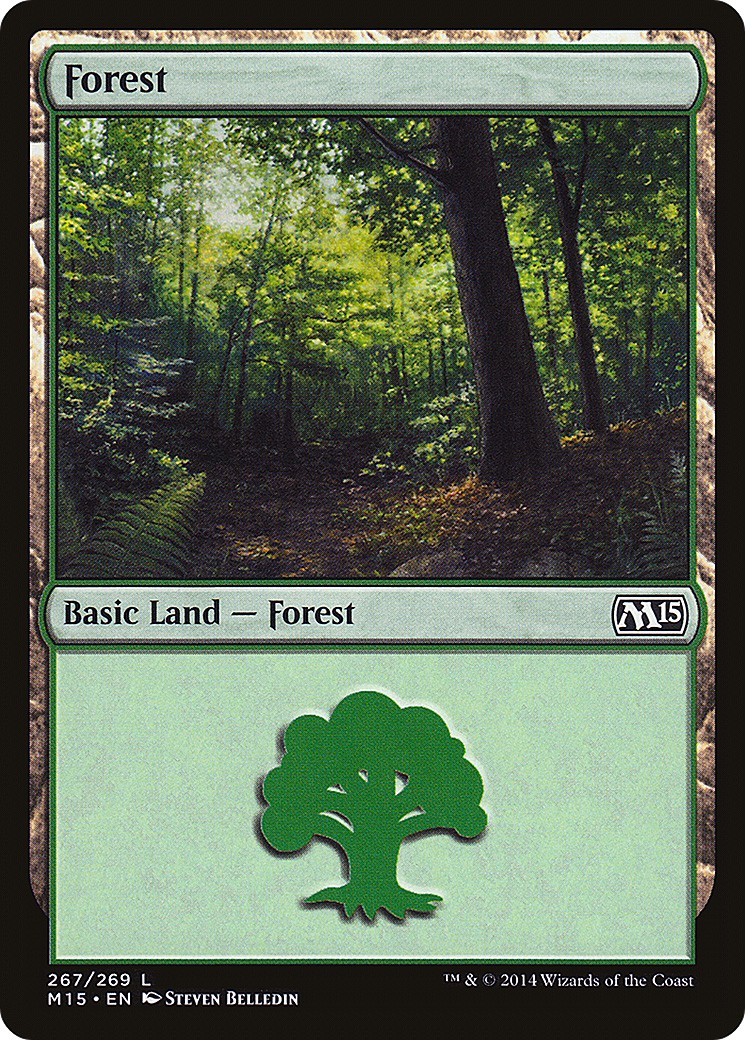 Forest - Image 1