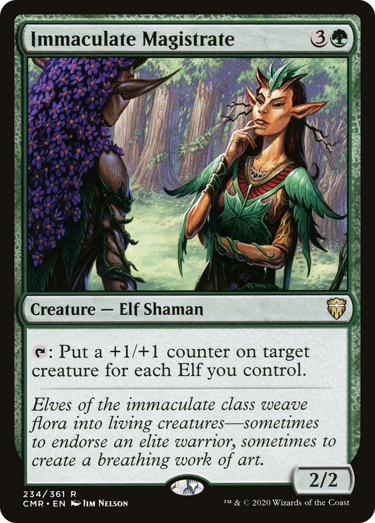 Immaculate Magistrate - Image 1