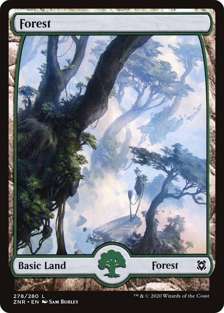 Forest - Image 1