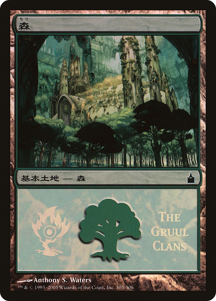 Forest - Image 1