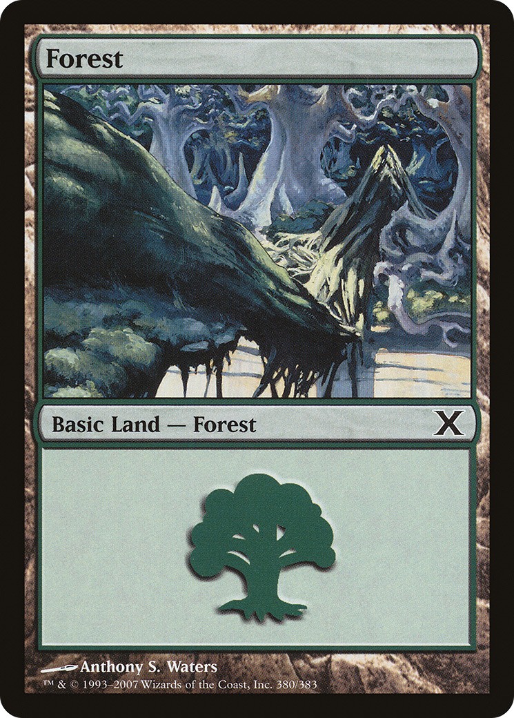 Forest - Image 1