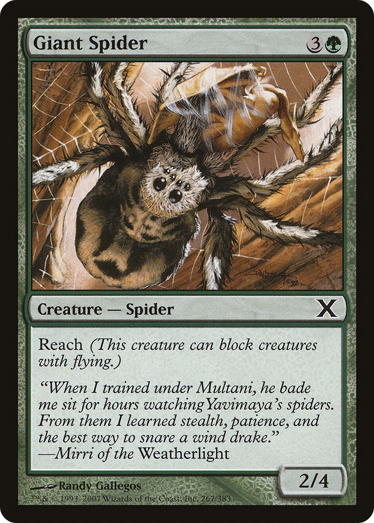 Giant Spider - Image 1