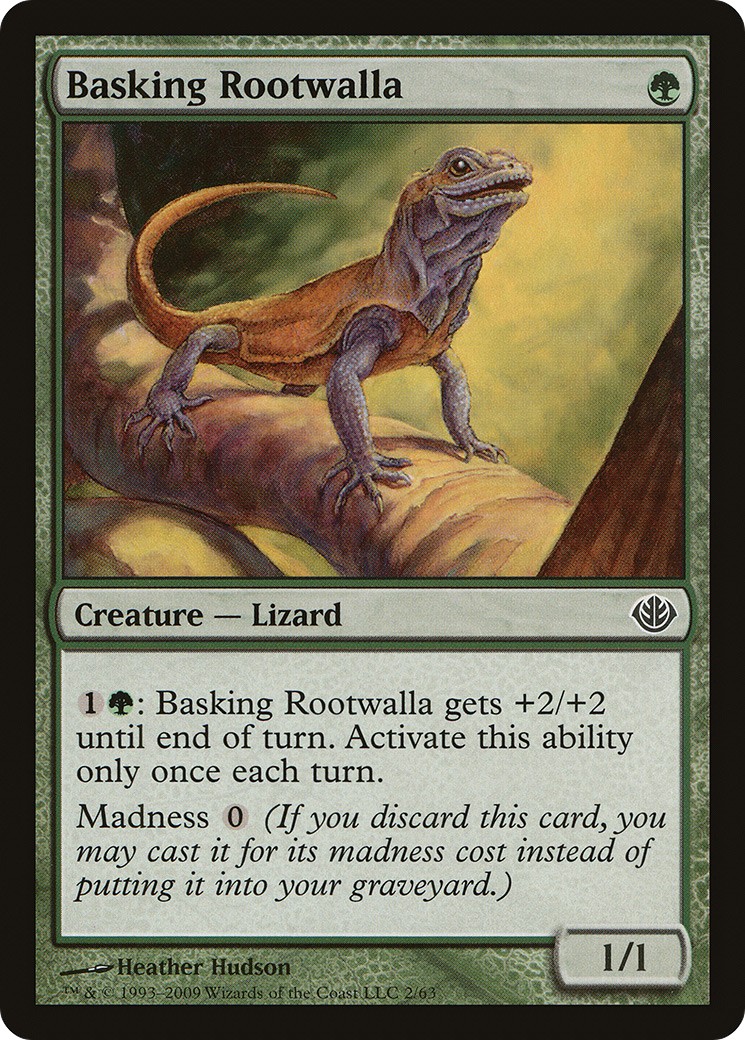 Basking Rootwalla - Image 1