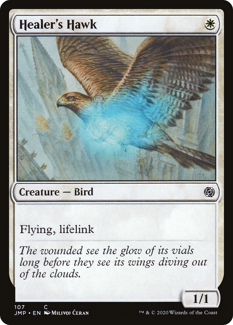 Healer's Hawk - Image 1