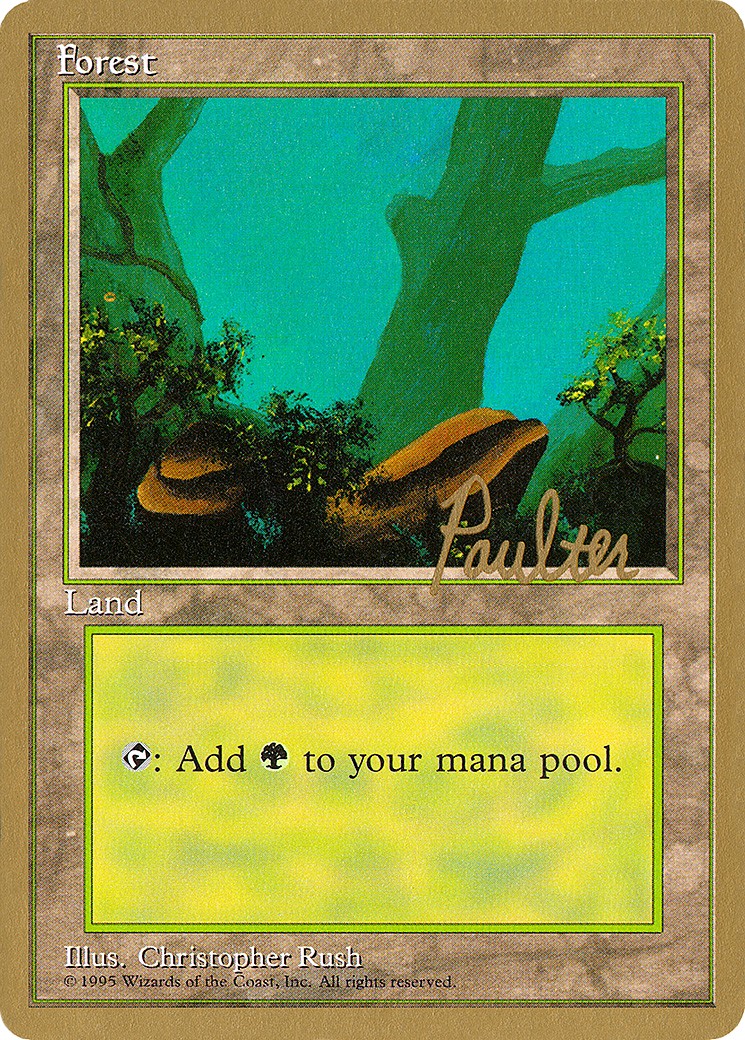 Forest - Image 1