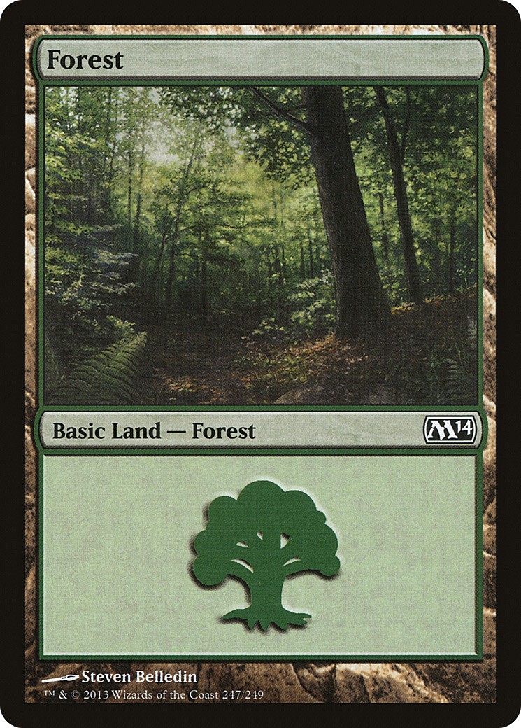 Forest - Image 1